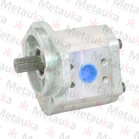 Bomba de engranajes - 25 cm3 - R979018707.