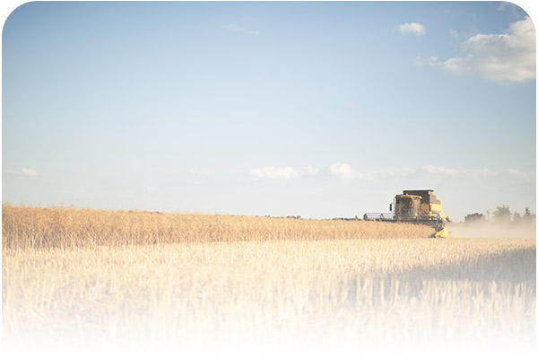Agricultura